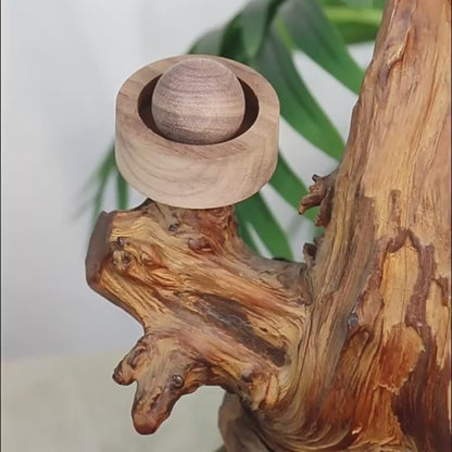 Natural Air Refreshener